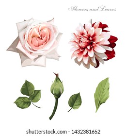 Flowers and leaves, watercolor, can be used as greeting card, invitation card for wedding, birthday and other holiday and  summer background. Vector illustration.
