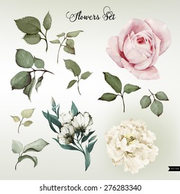 Flowers and leaves, watercolor, can be used as greeting card, invitation card for wedding, birthday and other holiday and  summer background. Vector illustration.
