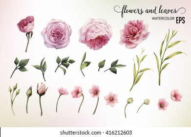 Flowers and leaves, watercolor, can be used as greeting card, invitation card for wedding, birthday and other holiday and  summer background. Vector illustration.