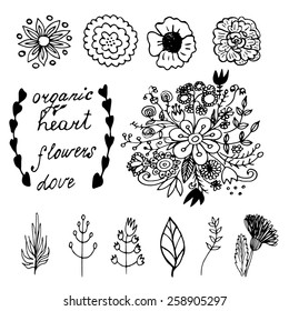 Flowers, leaves and words hand drawn doodle set 