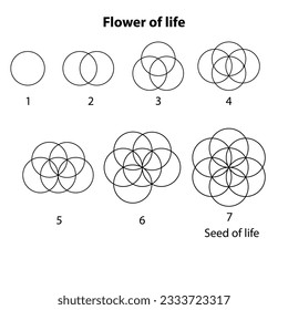 Flowers of life 1 to 7. Scared Geometry Vector Design Elements. This religion, philosophy, and spirituality symbols. the world of geometric with our intricate illustrations.