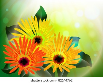 flowers and light abstract, vector art illustration; image contains gradient mesh and transparency