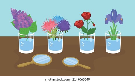 flowers lilac, rose and iris