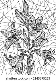 Flowers lilium. Coloring book antistress for children and adults. Zen-tangle style.