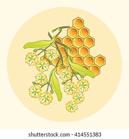Flowers of lime and honey on white background.
Medicinal linden flowers and yellow honeycomb in a circle.