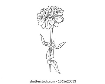 Flowers Line Art Arrangements. You use on greeting card, frame, shopping bags, wall art, wedding invitation, decorations, and t-shirts
