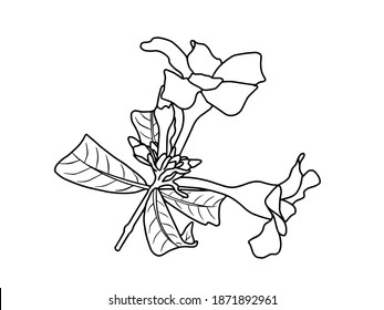 Flowers Line Art Arrangements. You use on greeting card, frame, shopping bags, wall art, wedding invitation, decorations, and t-shirts