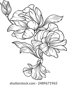 Arreglo de ramo de arte de la línea de flores . Flores dibujadas a mano, hojas, ramas y Elementos florecientes para arreglos, invitación, tarjetas de felicitación, arte de la pared, logotipo, diseño de tatuajes. Ilustración vectorial