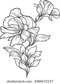 Flowers line art bouquet arrangement . Hand drawn flowers, leaves branches and blooming elements for arrangements, invitation, greeting cards, wall art, logo, tattoo design. Vector illustration