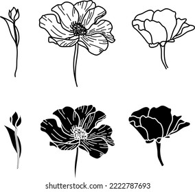 Flores de línea de arte. Flores gráficas. Gráficos vectoriales de flores. Plantilla de flor. 