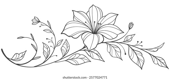 flowers line art isolated on transparent background. floral design elements for invitation, wedding, wallpaper, print template, vector illustration