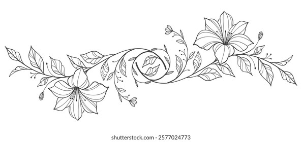 flowers line art isolated on transparent background. floral design elements for invitation, wedding, wallpaper, print template, vector illustration