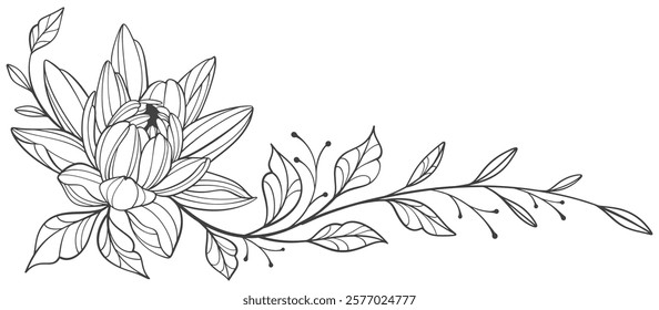 flowers line art isolated on transparent background. floral design elements for invitation, wedding, wallpaper, print template, vector illustration