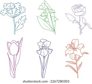 flor vectorial de línea de flores
