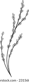 Flowers line art, Wildflower line art design, Grass line art