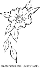 Flowers line art, Wildflower line art design, Floral elements