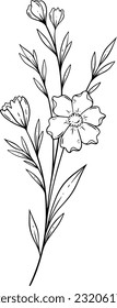 Flowers line art, Wildflower line art design, Floral elements, Grass line art