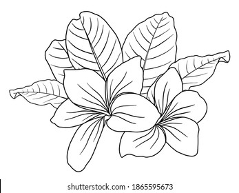 Blumen Line Arts.  Sie verwenden Grußkarten, Rahmen, Einkaufstaschen, Wandkunst, Hochzeitseinladung, Dekorationen und T-Shirts
