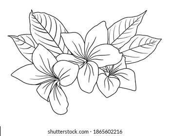 Flowers Line Arts.  You use on greeting card, frame, shopping bags, wall art, wedding invitation, decorations, and t-shirts
 svg