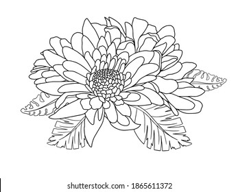 Flowers Line Arts.  You use on greeting card, frame, shopping bags, wall art, wedding invitation, decorations, and t-shirts
