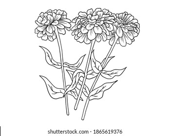 Flowers Line Arts.  You use on greeting card, frame, shopping bags, wall art, wedding invitation, decorations, and t-shirts
