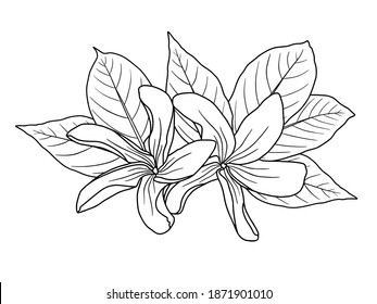Flowers Line Arts.  You use on greeting card, frame, shopping bags, wall art, wedding invitation, decorations, and t-shirts