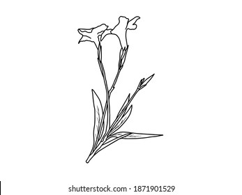 Flowers Line Arts.  You use on greeting card, frame, shopping bags, wall art, wedding invitation, decorations, and t-shirts