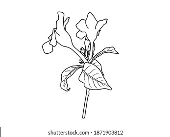 Flowers Line Arts.  You use on greeting card, frame, shopping bags, wall art, wedding invitation, decorations, and t-shirts
