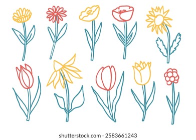 Flowers line crayon drawn set. Spring tulip, daisy, aster and marguerite plants doodle. Vector naive chalk pencil illustration isolated on white background. Childlike botanical abstract elements.