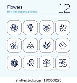 Flowers line icon set. Daffodil, gerbera, lavender. Nature concept. Can be used for topics like blossoming, spring, summer, plants