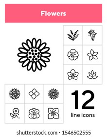 Flowers line icon set. Daffodil, gerbera, lavender. Nature concept. Can be used for topics like blossoming, spring, summer, plants