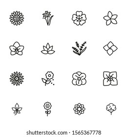 Flowers line icon set. Daffodil, gerbera, lavender. Nature concept. Can be used for topics like blossoming, spring, summer, plants