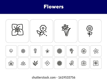 Flowers line icon set. Daffodil, gerbera, lavender. Nature concept. Can be used for topics like blossoming, spring, summer, plants