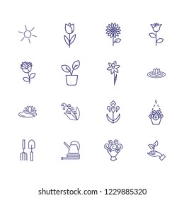 Flowers line icon set. Sun, tulip, sunflower. Nature concept. Can be used for topics like plants, orchard, gardening