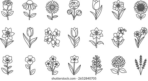 Flowers line icon set. Vector pictograms of magnolia, dandelion, crocus, calla lily, various flower species - azalea, anemone, bird paradise, thin linear 