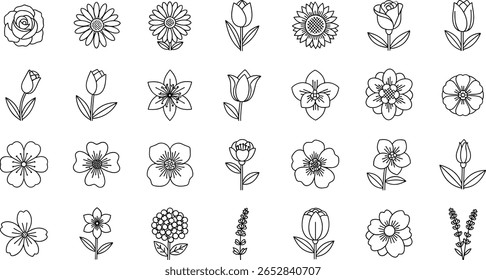 Flowers line icon set. Vector pictograms of magnolia, dandelion, crocus, calla lily, various flower species - azalea, anemone, bird paradise, thin linear 