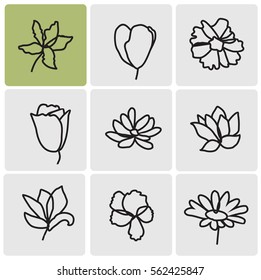 Flowers line set