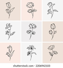 línea de flores Conjunto de planos de línea continua de plantas aisladas de dibujo negro sobre fondo blanco. Conjunto de impresión minimalista. Ilustración del vector 