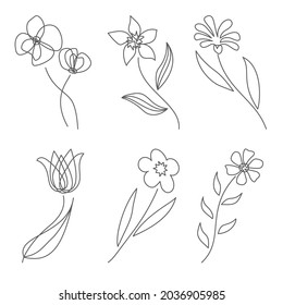 Flowers in line style. Modern line art for poster and banner