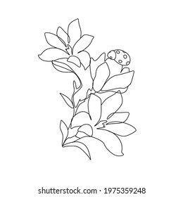 Flowers line vector drawing. Botanical print. Nature symbol of cosmetics. Modern continuous line art. Fashion print. One line Illustration.