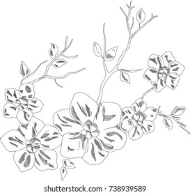 flowers, line, vector image