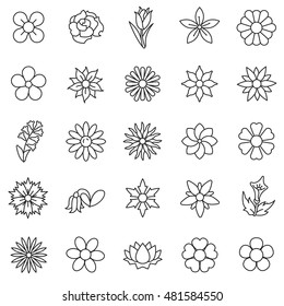 flowers linear icons set