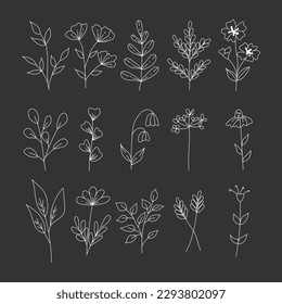 Flowers in linear style on a black background.