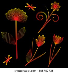 Flowers from lines on a black background
