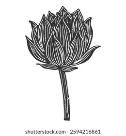 Flowers linocut vector illustration with grunge texture. Monochrome linear woodcut illustration
