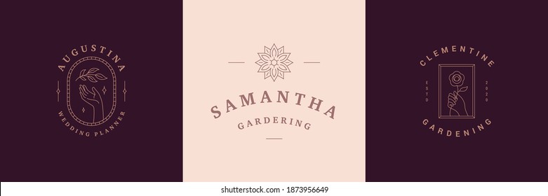 Blumen-Logos Embleme Design-Vorlagen mit botanischen Pflanzen und Rose-Vektorgrafiken minimalen linearen Stil. Umrisssymbole für Kosmetika, Verpackungen oder Blumenerzeugnisse