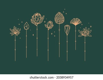 Flowers long stem drawing in art deco style on green background