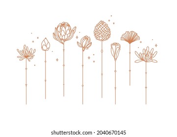 Flowers long stem drawing in art deco style