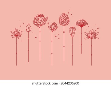 Flowers long stem drawing in art deco style on coral background