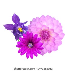 Flowers low poly. Beautiful fragrant flower. Wonderful Flower. Elements for label design. Flowers in triangulation technique. 